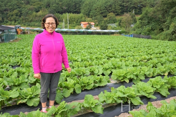 충북 영동군 햇살영농조합법인 이강순 대표