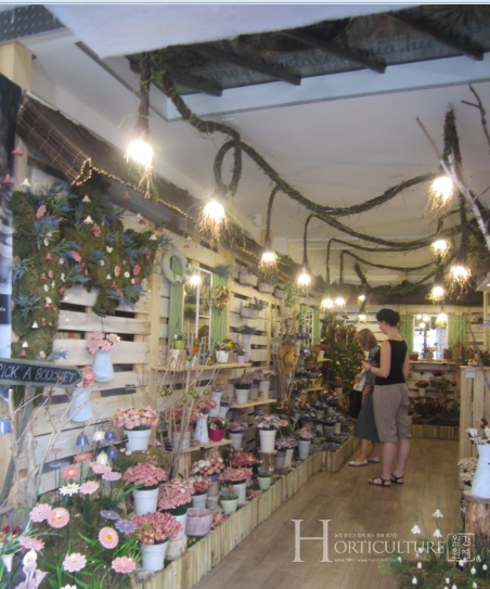 유럽에서는 최근 식품, 패션에 이어 화훼에 대해서도 공정무역에 대한 목소리가 높아지고 있다(헝가리의 꽃집)