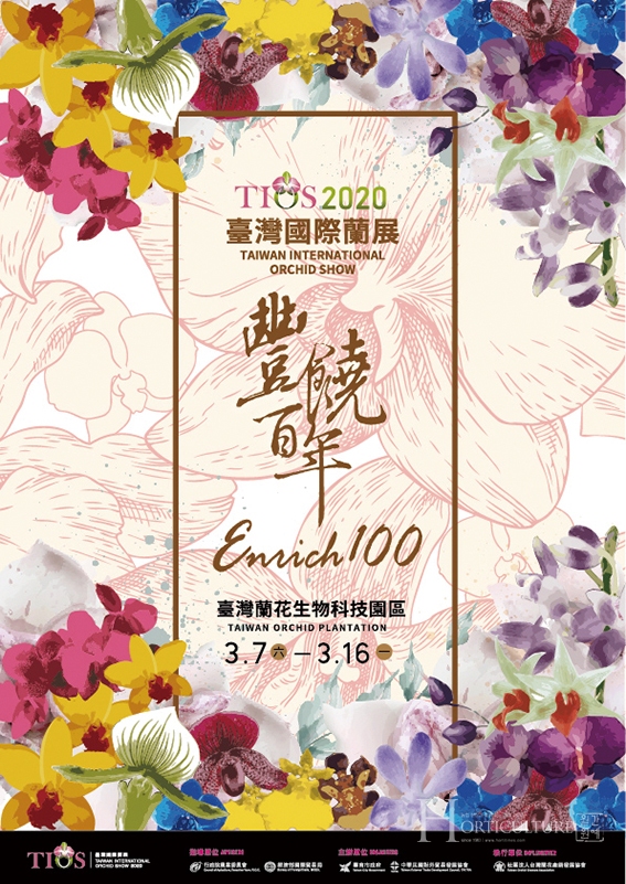 2020 대만국제난전 포스터