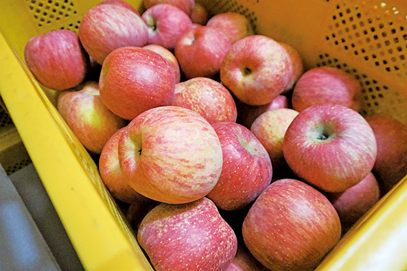 경산농원은 “껍질째 먹는 사과”를 추구하며, 직거래 출하할 때 반드시 껍질째 먹을 것을 권유한다.