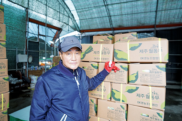제주에서 선별 세척장을 운영 중인 영농조합 법인 DK 농산 최동구 대표는 하루 평균 20kg 박스로 3천여 개 넘게 선별 포장한다.