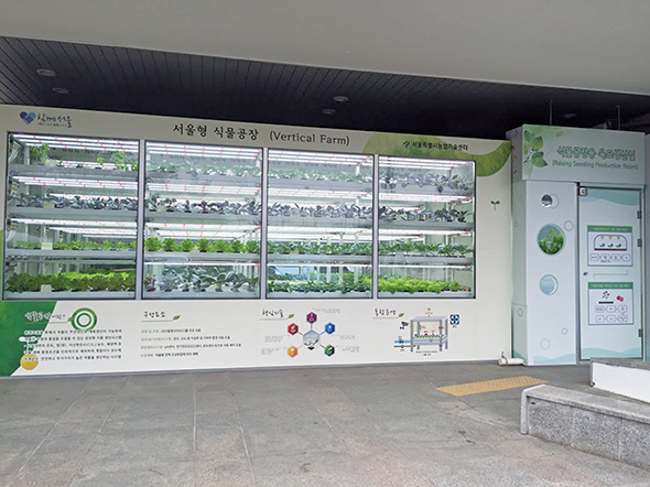 서울형 식물공장.
