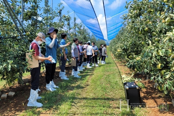 햇빛 차단망 시범사업 현장평가회를 진행하고 있는 사과 재배농가의 모습