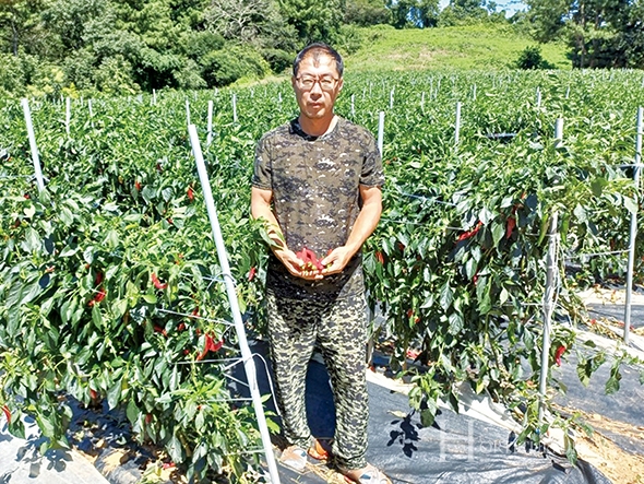 서울에서 생활하다 10여 년 전 고향으로 돌아온 김남식 대표. 농사를 해왔던 부모님의 일손을 도와 현재는 완연한 농부가 되었다.