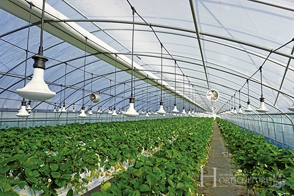 대가농원 전경. 지난 90년대 후반부터 유기농으로 딸기를 재배해 체험활동을 시작한 선도적인 농가다.