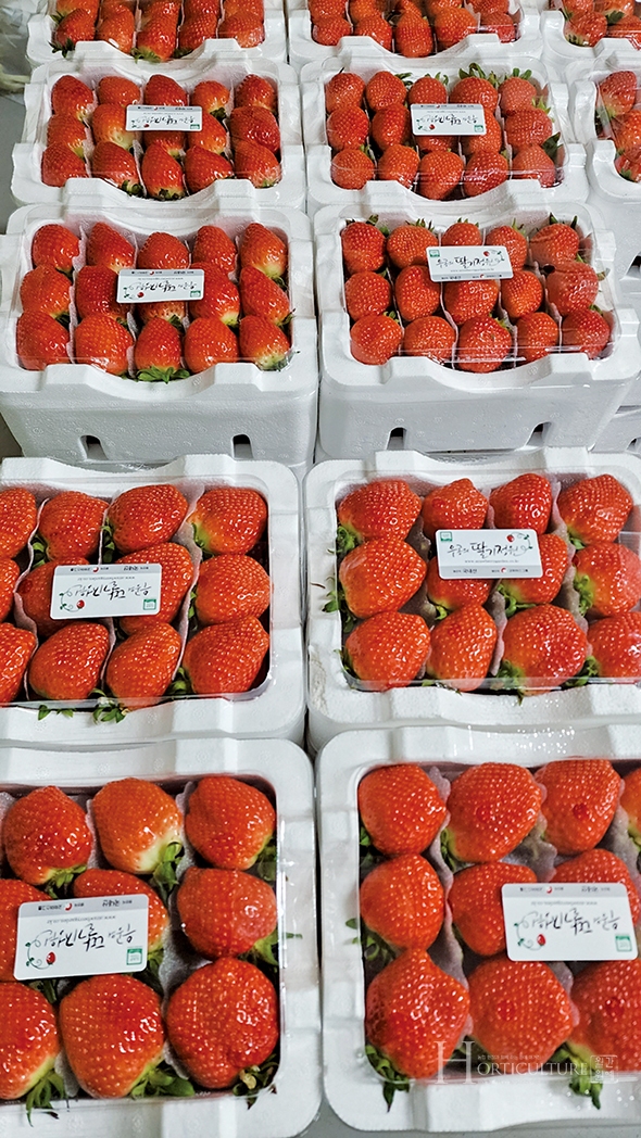 우공의 딸기에서 생산하는 딸기와 잼. 잼은 2배, 4배 잼 등 다양한 라인업을 갖추고 있다.