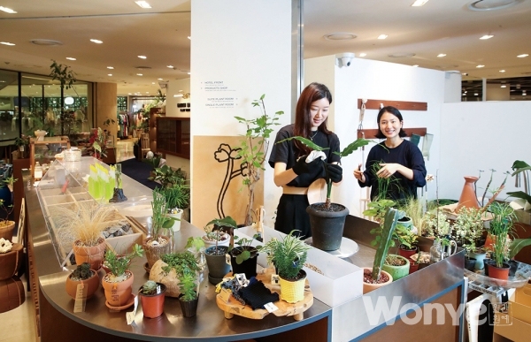 AK플라자 분당점_식물 편집숍 ‘가든어스’ 플랜트 호텔 서비스 제공사진출처: https://www.joongang.co.kr/article/25008286